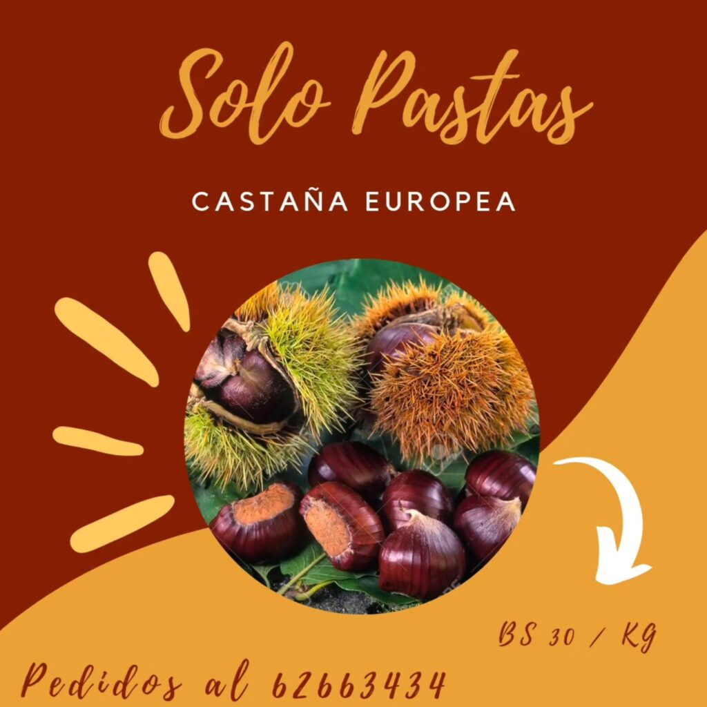 492327318_1468799401138369_9177443602975690566_n