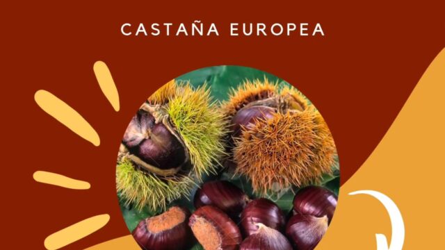 492327318_1468799401138369_9177443602975690566_n