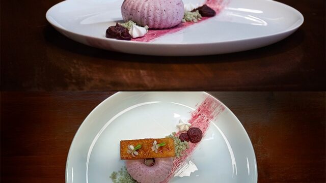 492454426_1264801768988139_7892610842878262441_n