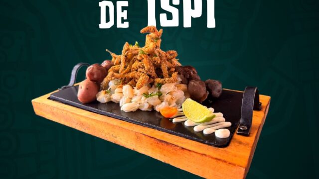 492816770_1250366500430209_2715679770572951215_n