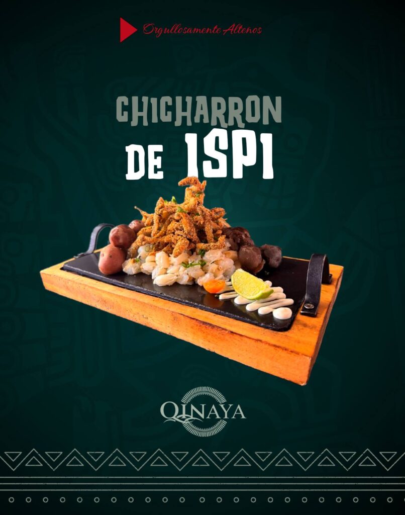 492816770_1250366500430209_2715679770572951215_n