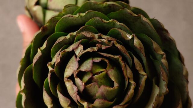 493420695_1075532524614047_6838282507421200416_n