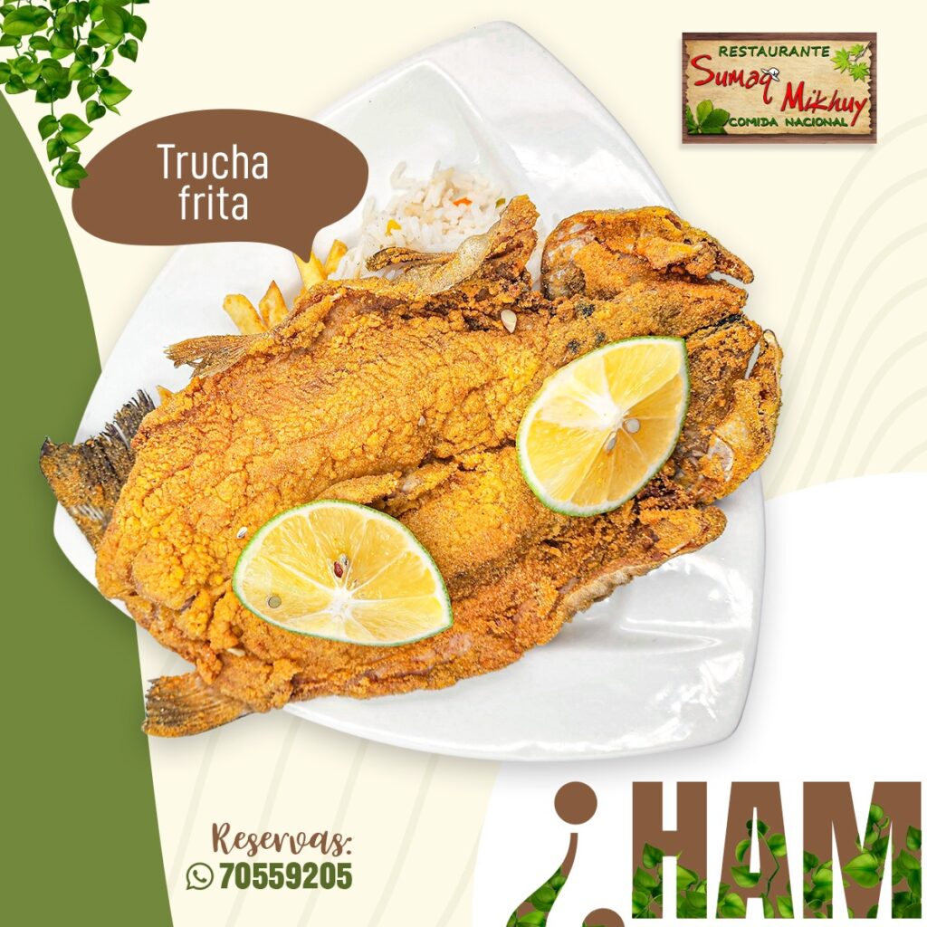 493527626_1232324352229921_3032774683884162415_n