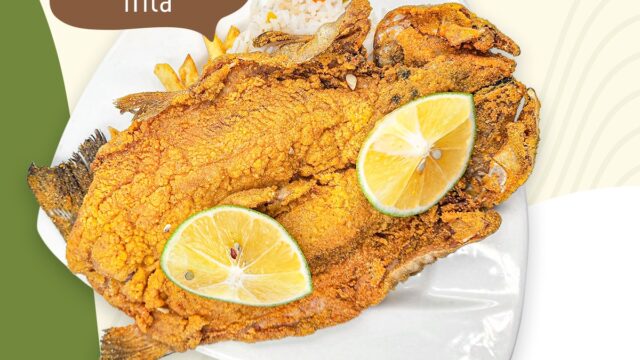 493527626_1232324352229921_3032774683884162415_n