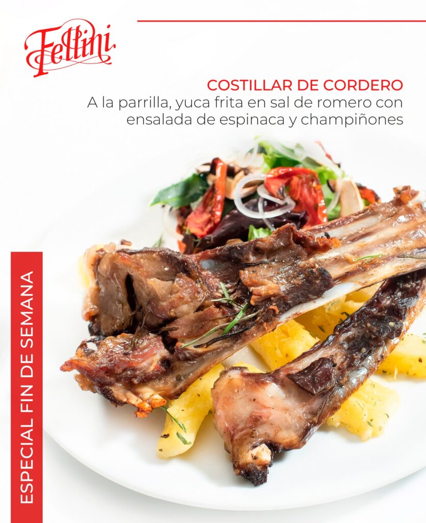 493729021_1162813719222679_5542793785098844974_n