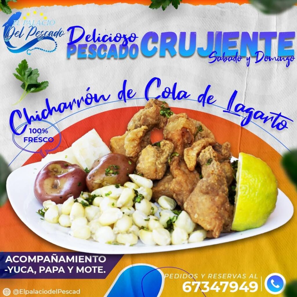 494037510_1249225503874185_7083241314599503825_n