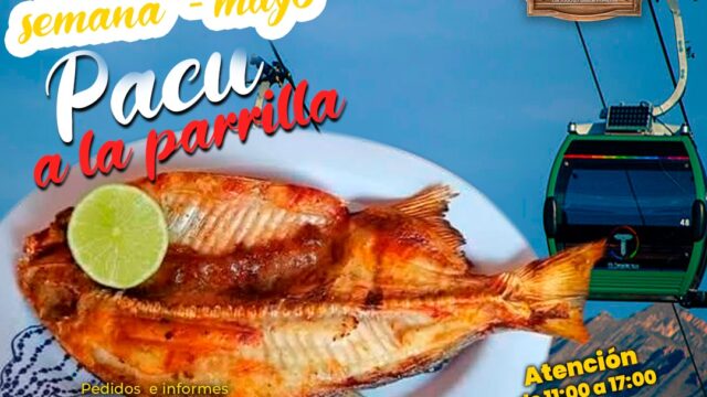 494201100_1590558398543802_1102882223431624300_n