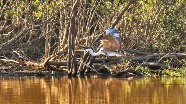 494300737_1232470362221071_4142150430655705107_n