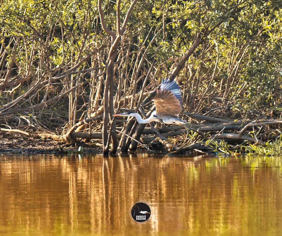 494300737_1232470362221071_4142150430655705107_n