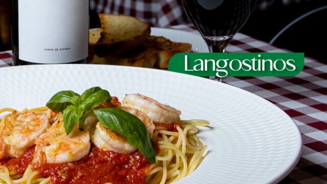 494563232_1474608923890750_2161750433160018161_n