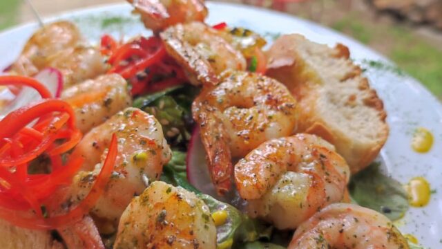 495191701_1217488240387731_8424085619911348884_n