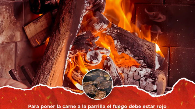 495304121_1264505441889494_6867028926443046936_n