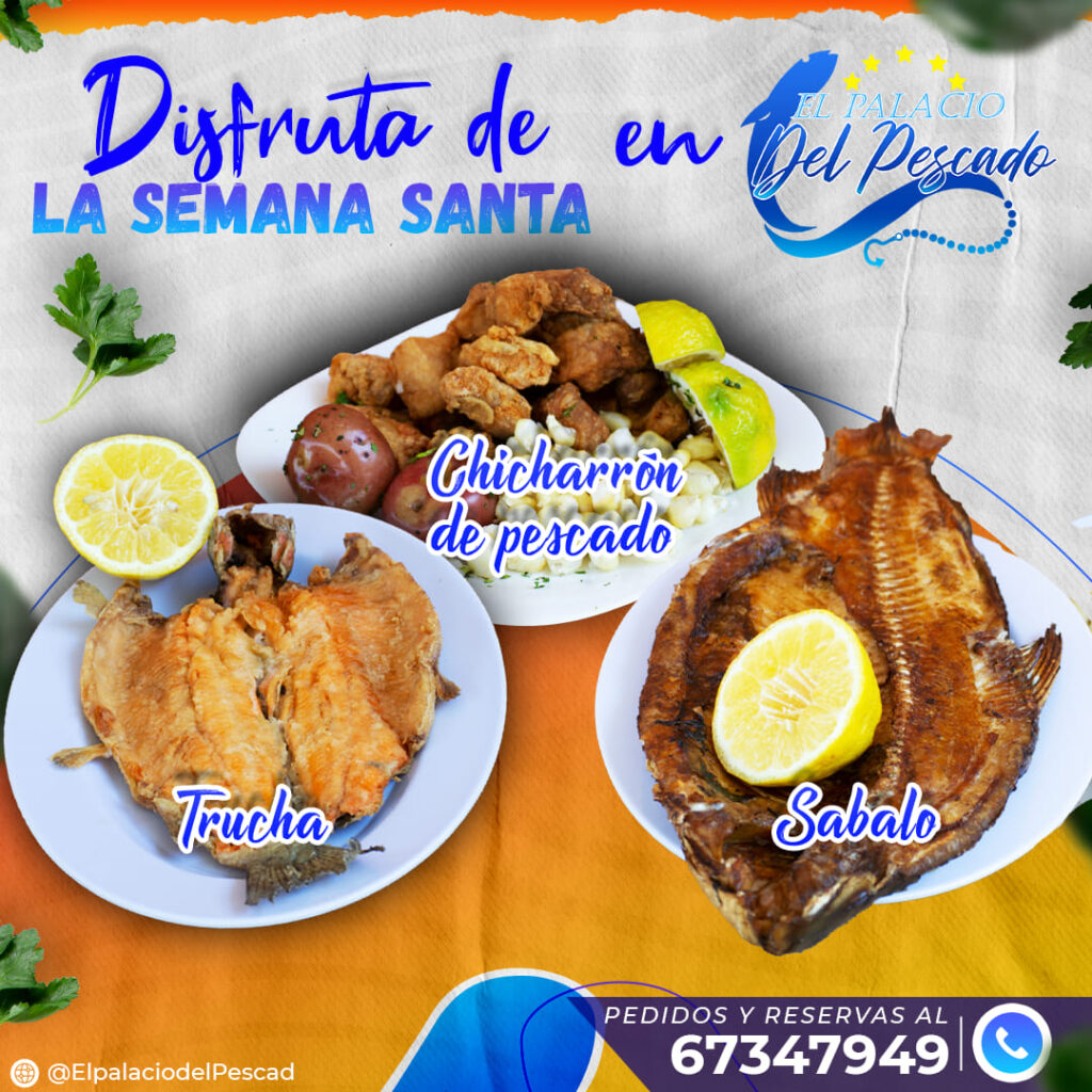 495598829_1246403560823046_3717553066645383470_n