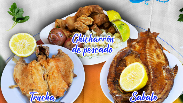 495598829_1246403560823046_3717553066645383470_n