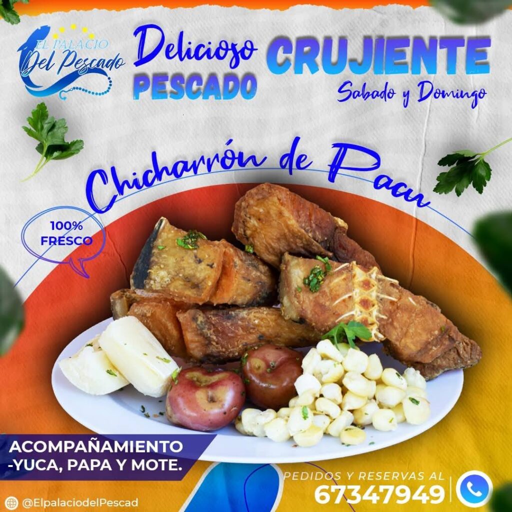 496006741_1249225420540860_5716699872187646998_n