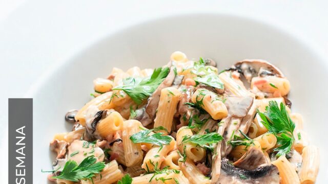 496530805_1175816414589076_851726850336907849_n