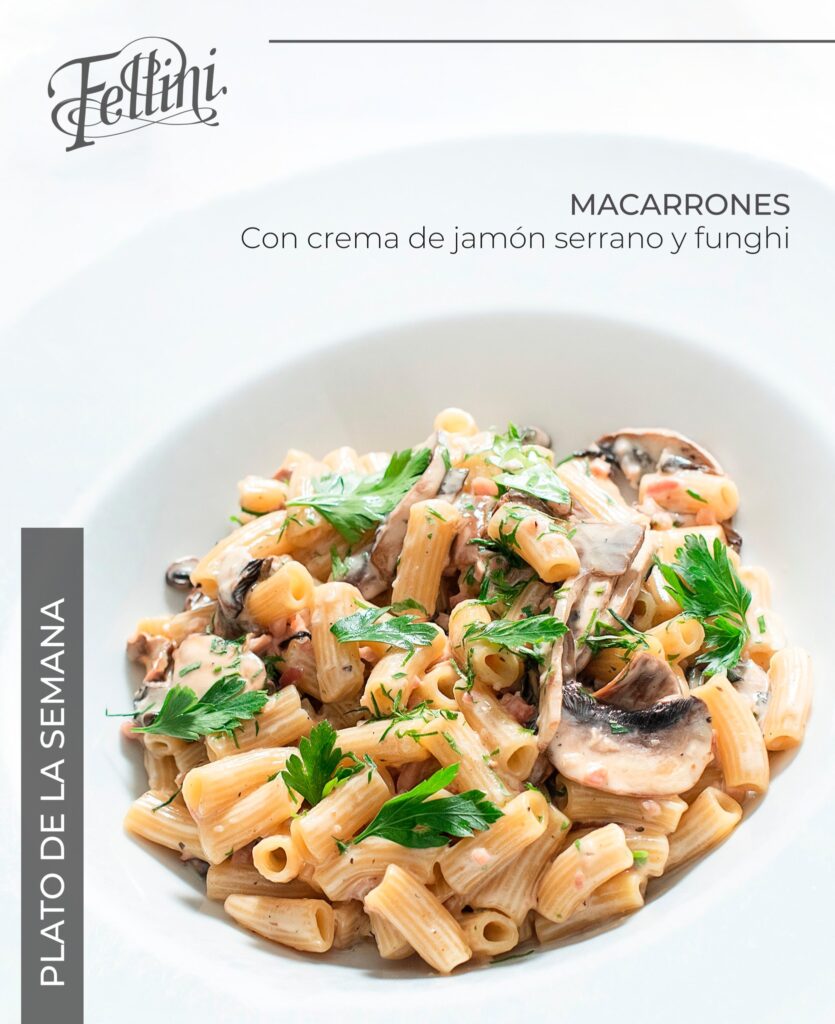 496530805_1175816414589076_851726850336907849_n