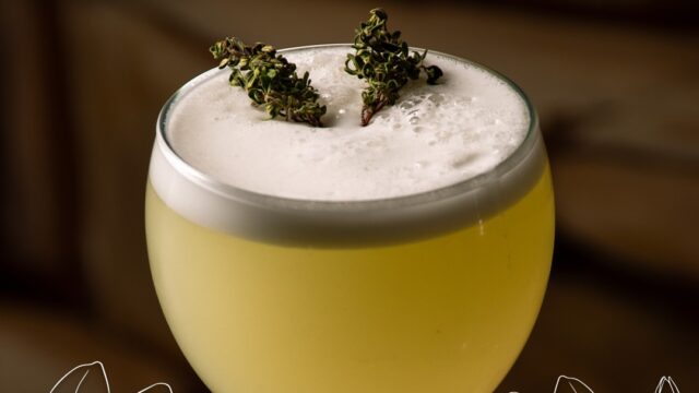 498199781_1126695329479023_2999326951385936172_n