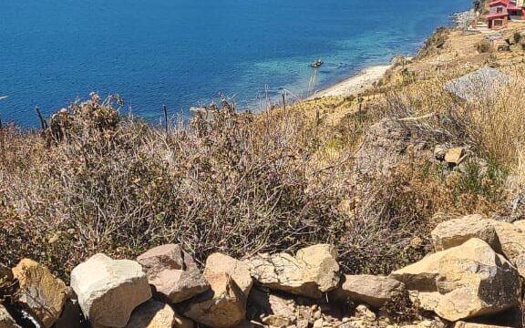 498677042_1285174360282612_6316374544748348590_n