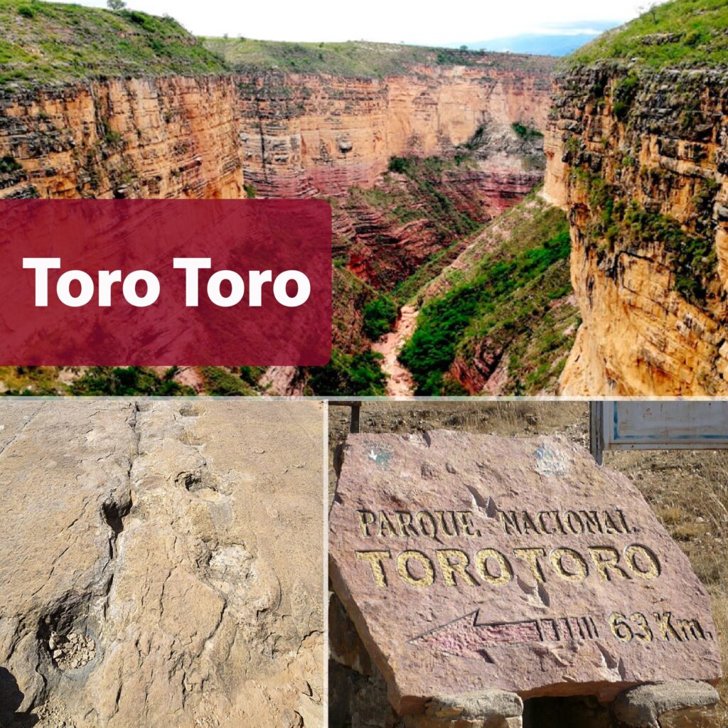 86171742_1280452742147406_1743151183326871552_n