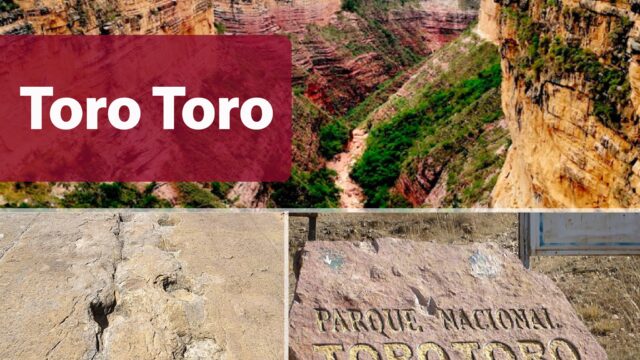 86171742_1280452742147406_1743151183326871552_n