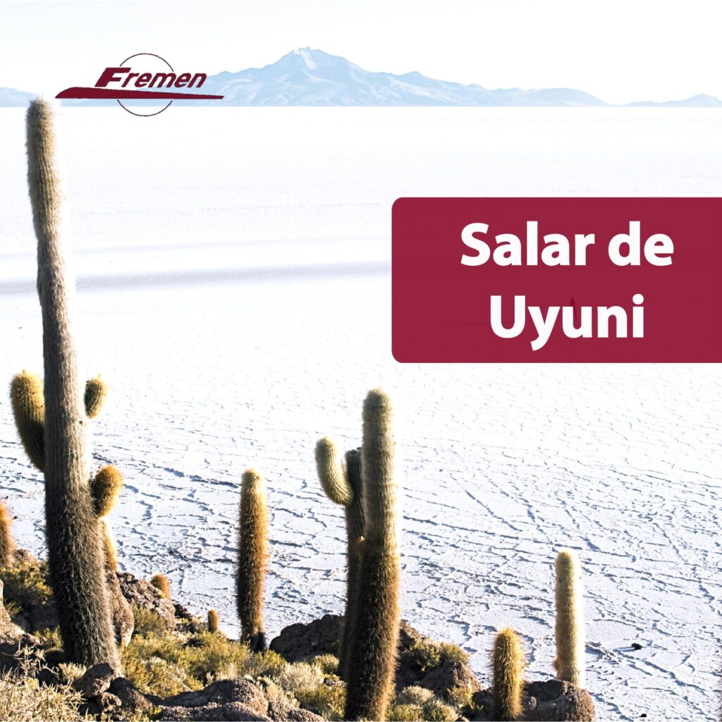 86488192_1280452758814071_3958944752866426880_n