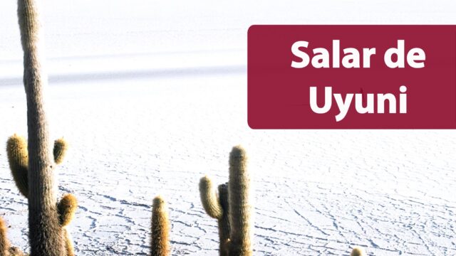 86488192_1280452758814071_3958944752866426880_n