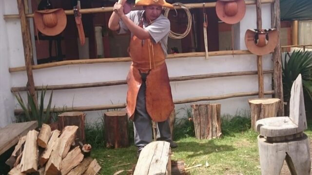 95261288_1172232846459661_7086819041968390144_n