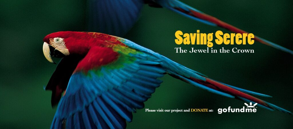 117351448_3883643311663867_3090295764177295920_n