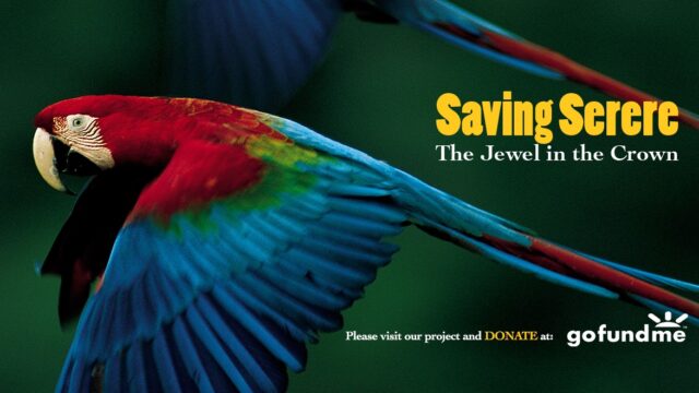 117351448_3883643311663867_3090295764177295920_n