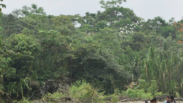 128122670_3933510693328146_7665928771710836694_n