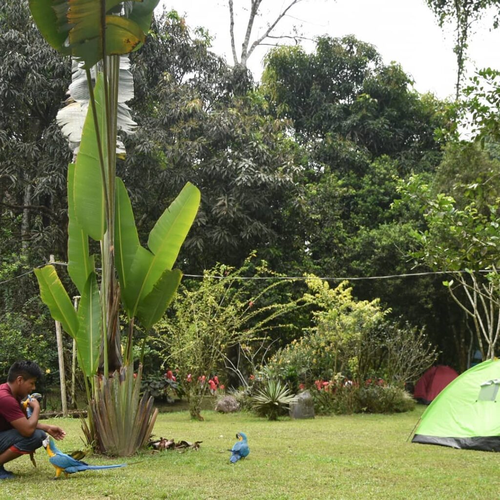 128872662_3942886482390567_37813495978112574_n