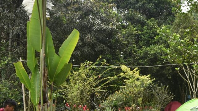 128872662_3942886482390567_37813495978112574_n