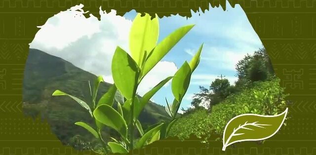 128872670_108123281141260_7125643002907424684_n