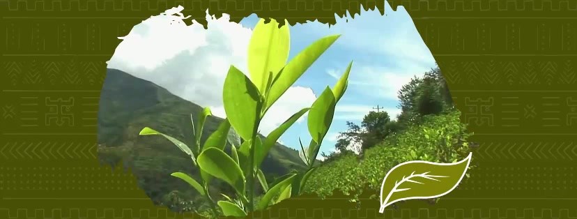 128872670_108123281141260_7125643002907424684_n