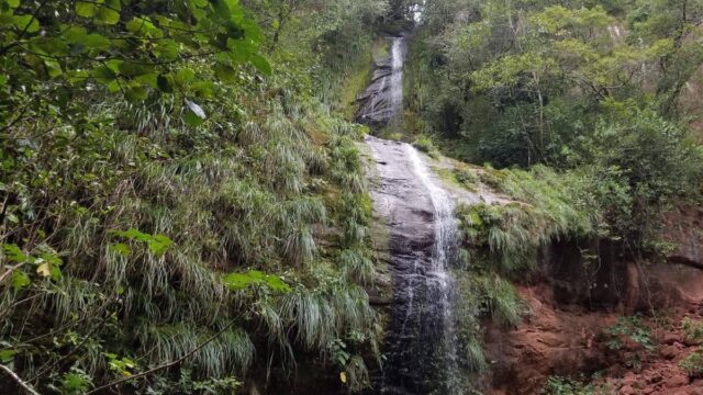 129614515_2165821776881684_2861998678954332488_n