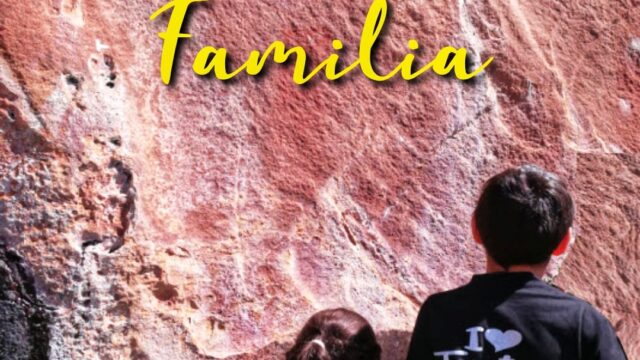 130302993_141115431129865_1030357945062425533_n