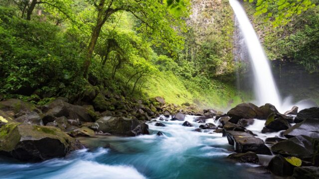 132438822_3849702485042236_5840840479531761418_n