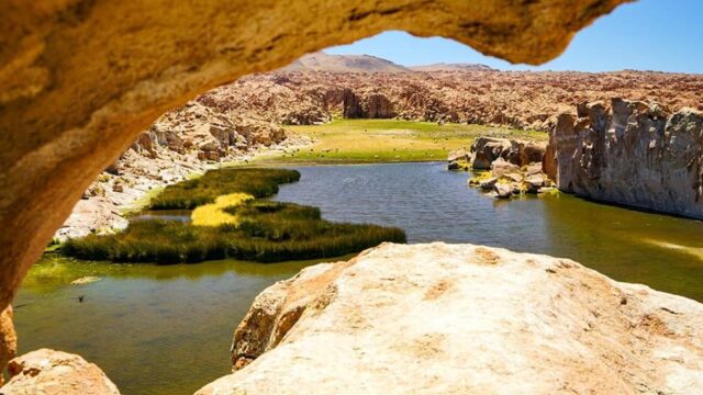 141639151_109628207769587_3449176824507238448_n - copia