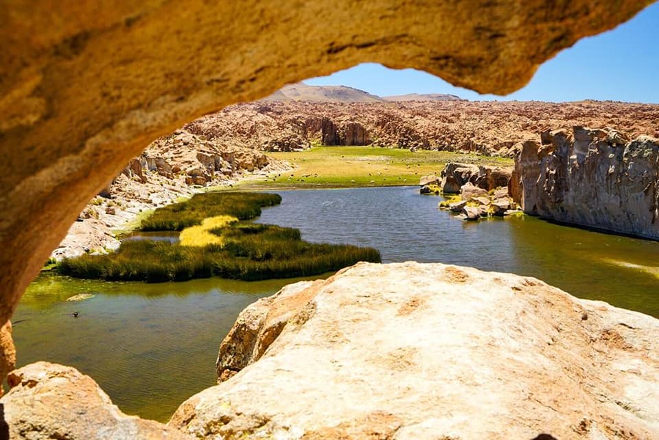 141639151_109628207769587_3449176824507238448_n - copia