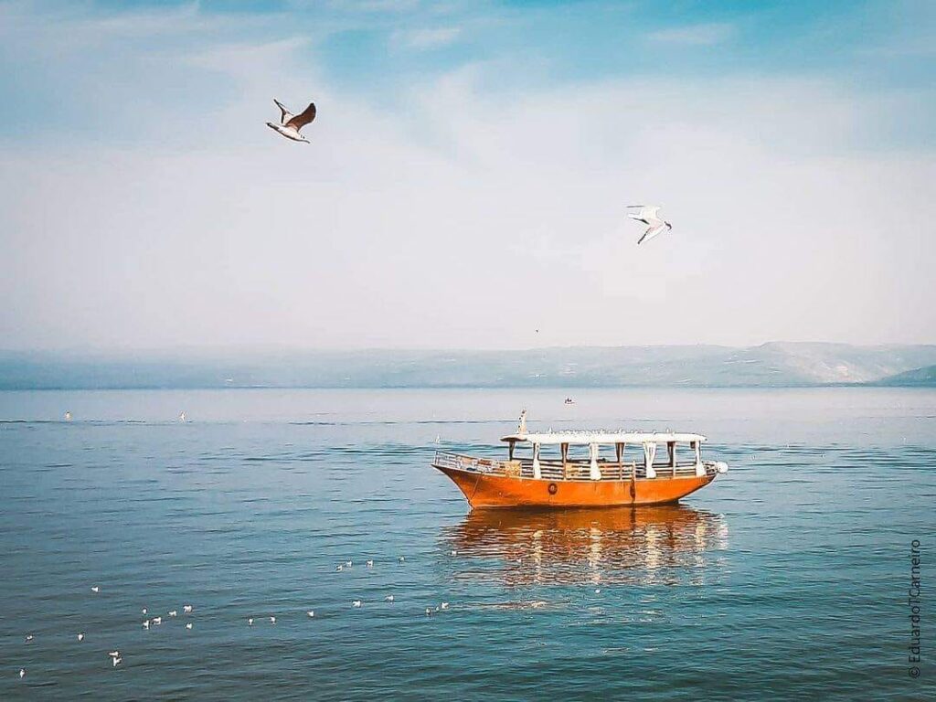 149214743_889215478561943_7092165948587588018_n