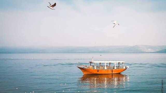 149214743_889215478561943_7092165948587588018_n