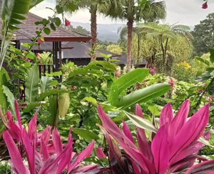 159342084_4065542063458276_7884493659842614719_n