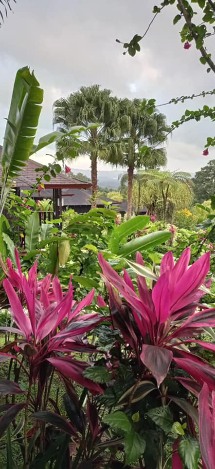 159342084_4065542063458276_7884493659842614719_n