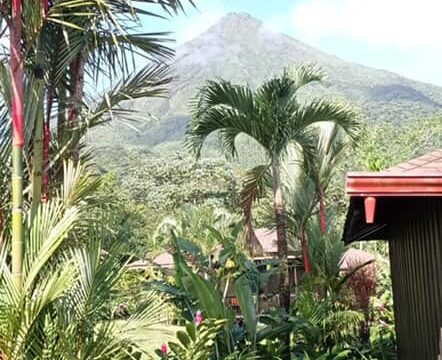 159912370_4065542056791610_885421583323976684_n