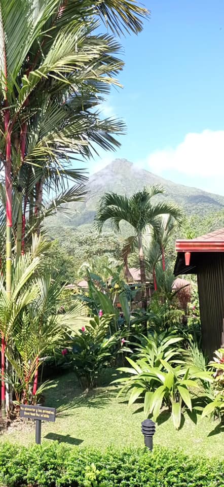 159912370_4065542056791610_885421583323976684_n