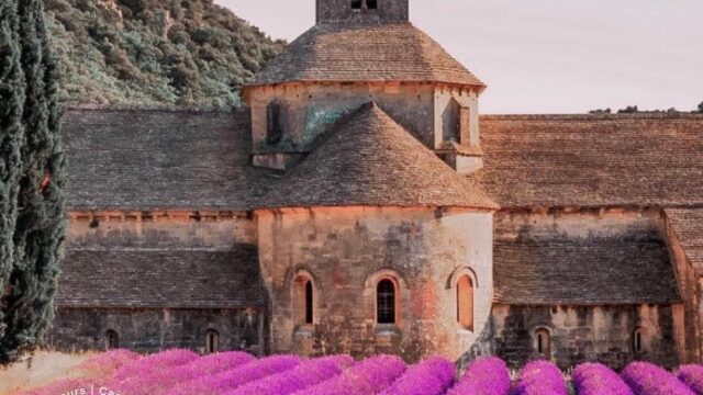 168651364_3851407834908405_8914344755661058526_n