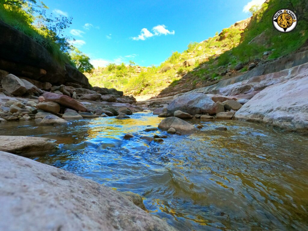 173383610_3963364703758003_604561735638815605_n