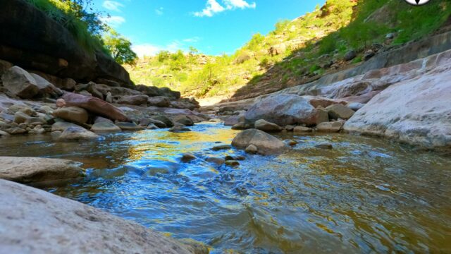 173383610_3963364703758003_604561735638815605_n