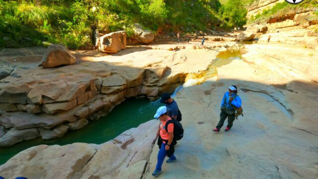 173608618_3963364350424705_443069842156964985_n